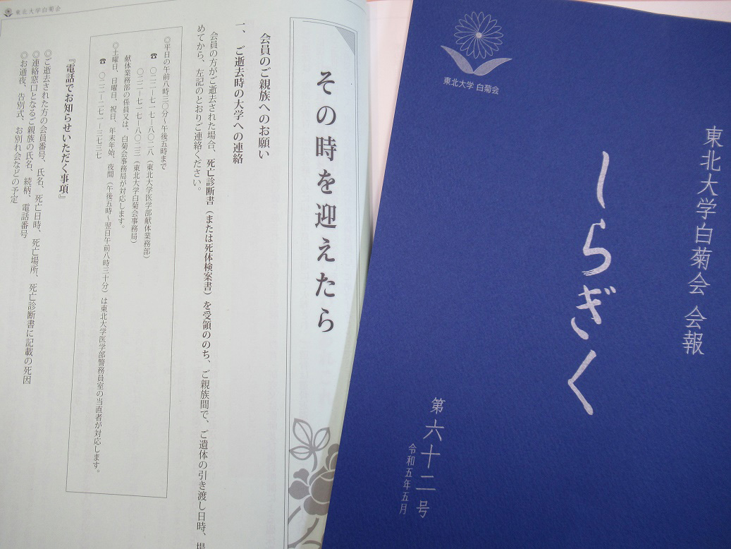 しらぎく第62号