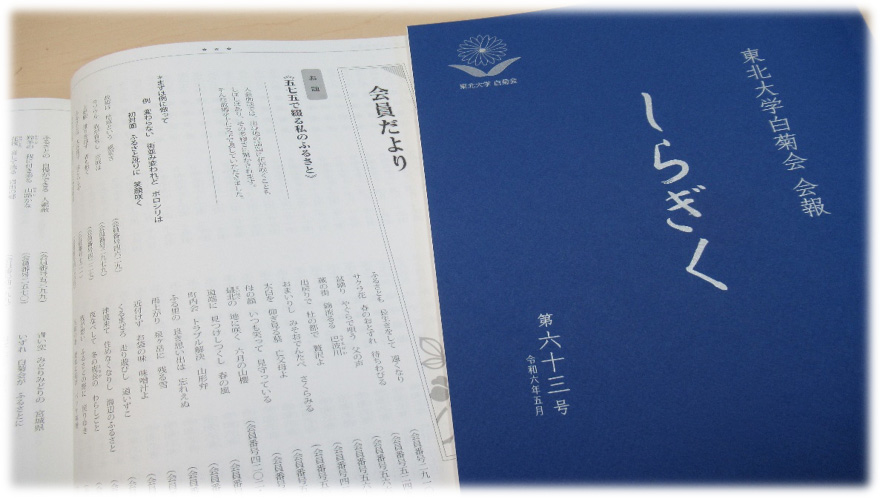 しらぎく第63号