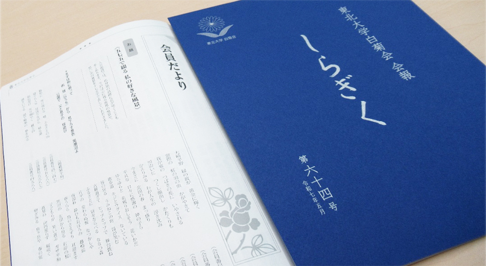 しらぎく第64号